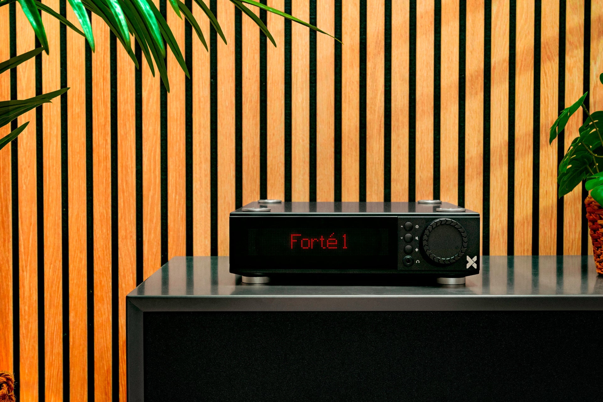 audio system