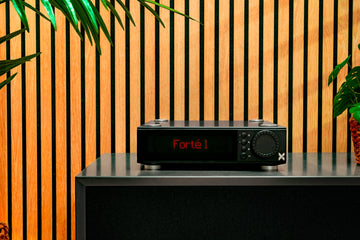 audio system