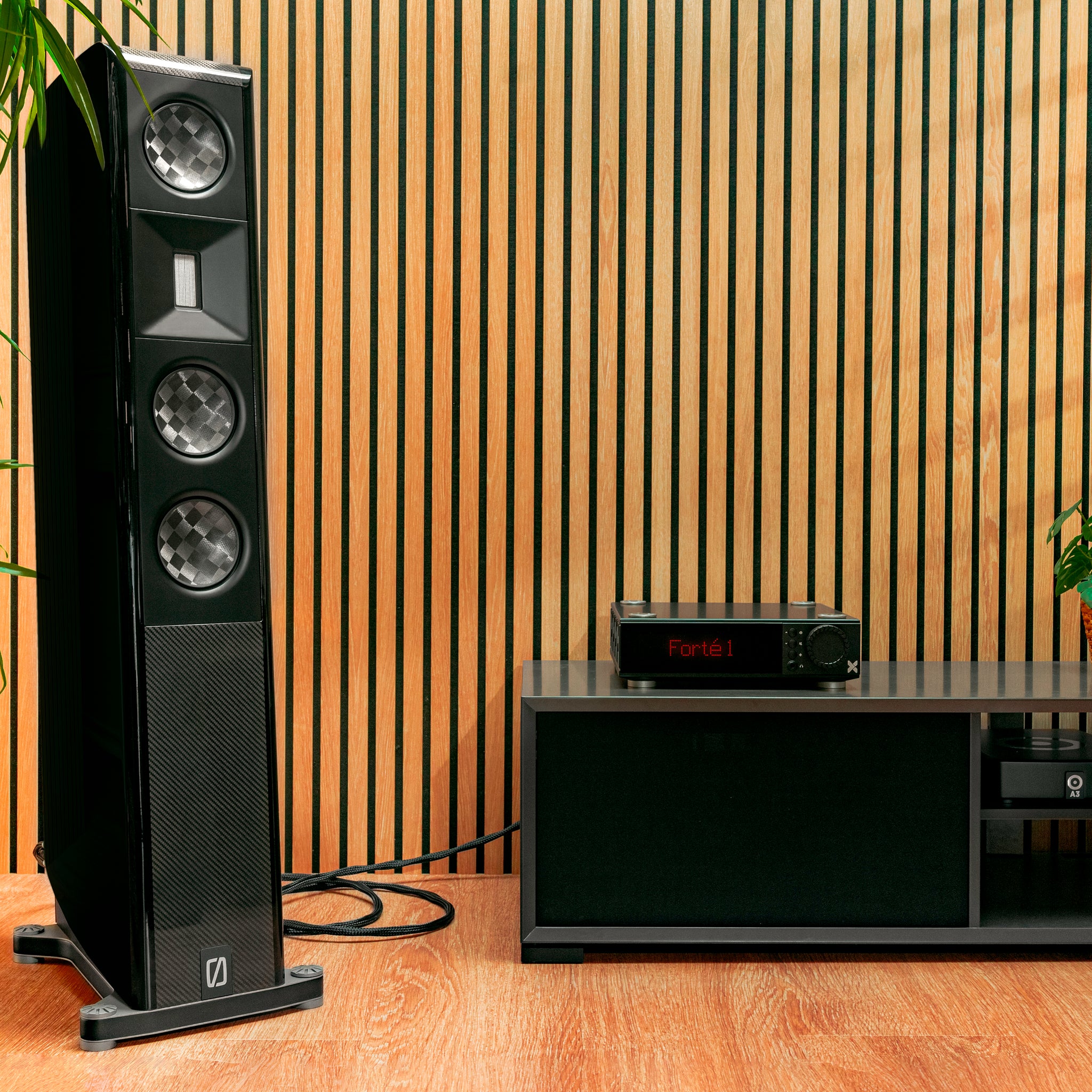 Deluxe Systems - Speakers, Player, Cables & Accessories  - Includes $4,325.00 in Free Cables!!!