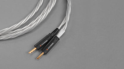 Axxess Speaker Cable