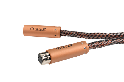 Ansuz Digitalz D3