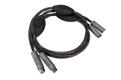 Ansuz Digitalz D-TC3